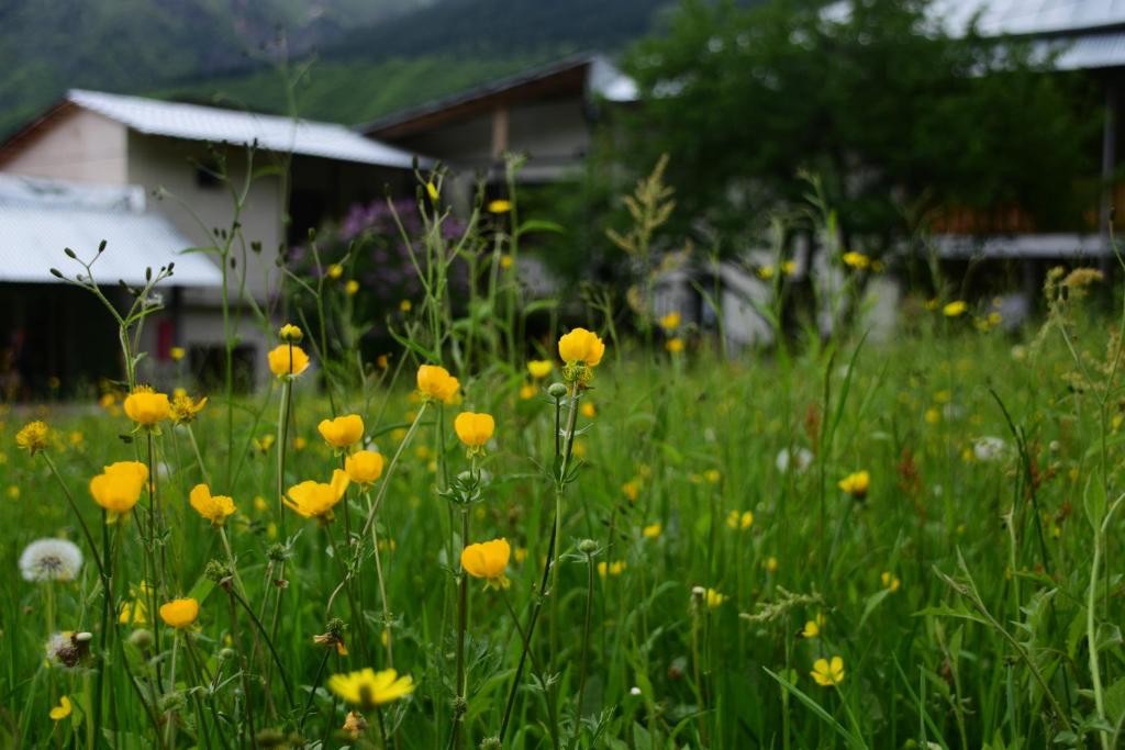 Maia's Guesthouse room 4
